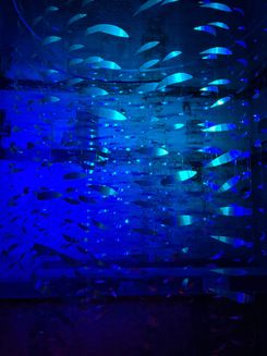 Выставка в Калининграде