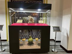 WhatsApp Image 2026-03-11 at 10.24.34.jpeg