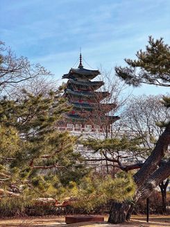 куда поехать в декабре за границу