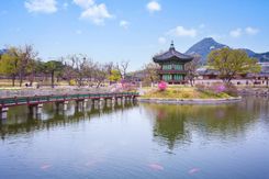 Южная Корея в апреле