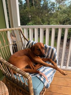 air bnb big island 2.jpg