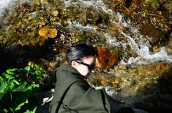 Алёна Сидорова