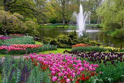 амстердам весной.jpg