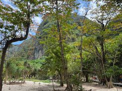 Бухта Майя Бэй в Таиланде