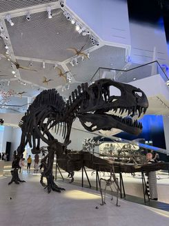 исторический музей3.jpg