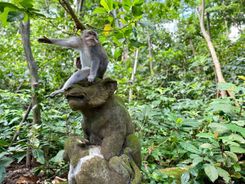 photo_2025-11-15_16-54-35 (2).jpg