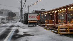 Ферма мандариновая на острове Чеджу в Южной Корее