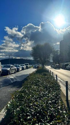 photo_2026-03-11_01-25-26 (2).jpg