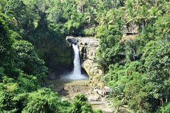 shutterstock_1155575962 (1).jpg