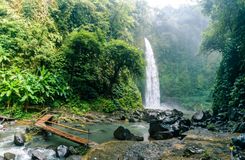 shutterstock_1281253633 (1).jpg