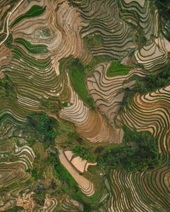 Рисовые террасы в Сапе, Вьетнам