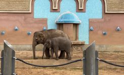 shutterstock_1525744997 (1).jpg