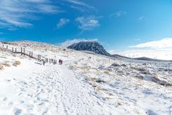 Зима на Чеджу