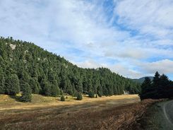 Парк у горы Парнас, Дельфы