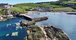 Поля в Северной Ирландии