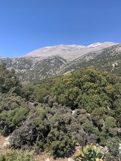 Гора Ида на Крите