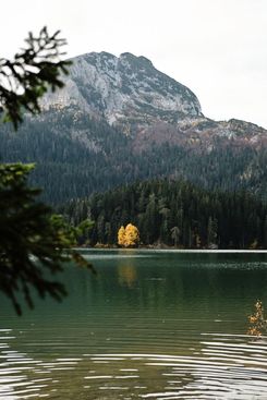 Чёрное озеро в Черногории
