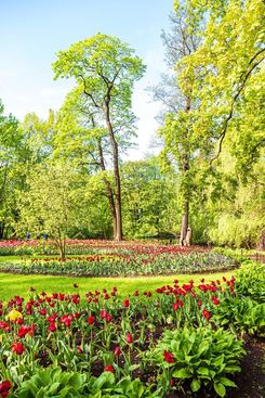 Елагин остров в Санкт-Петербурге