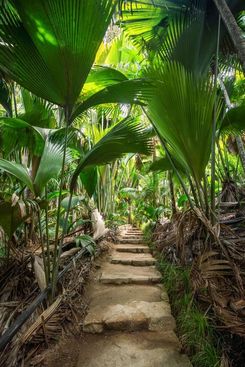 Лес на Валле-де-Мэ