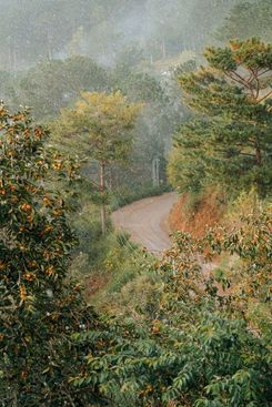 Туман в Далате, Вьетнам