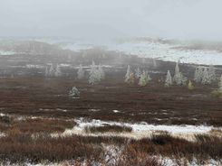 староавстрийская дорога 5.jpg