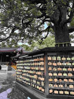 внутри храма Мейдзи2.jpg