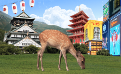 Что посмотреть в Осаке: буддийские храмы, Хогвартс и аквариум с акулой