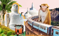 Что посмотреть на Шри-Ланке: древние города, святыни буддистов и сафари