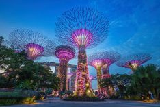 Сингапур за 96 часов: главные места и вкусные находки