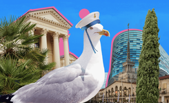 Путеводитель по Сочи: чайные плантации, дача Сталина и парк с пеликанами