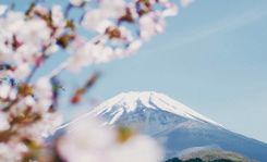 Как оформить туристическую визу в Японию?