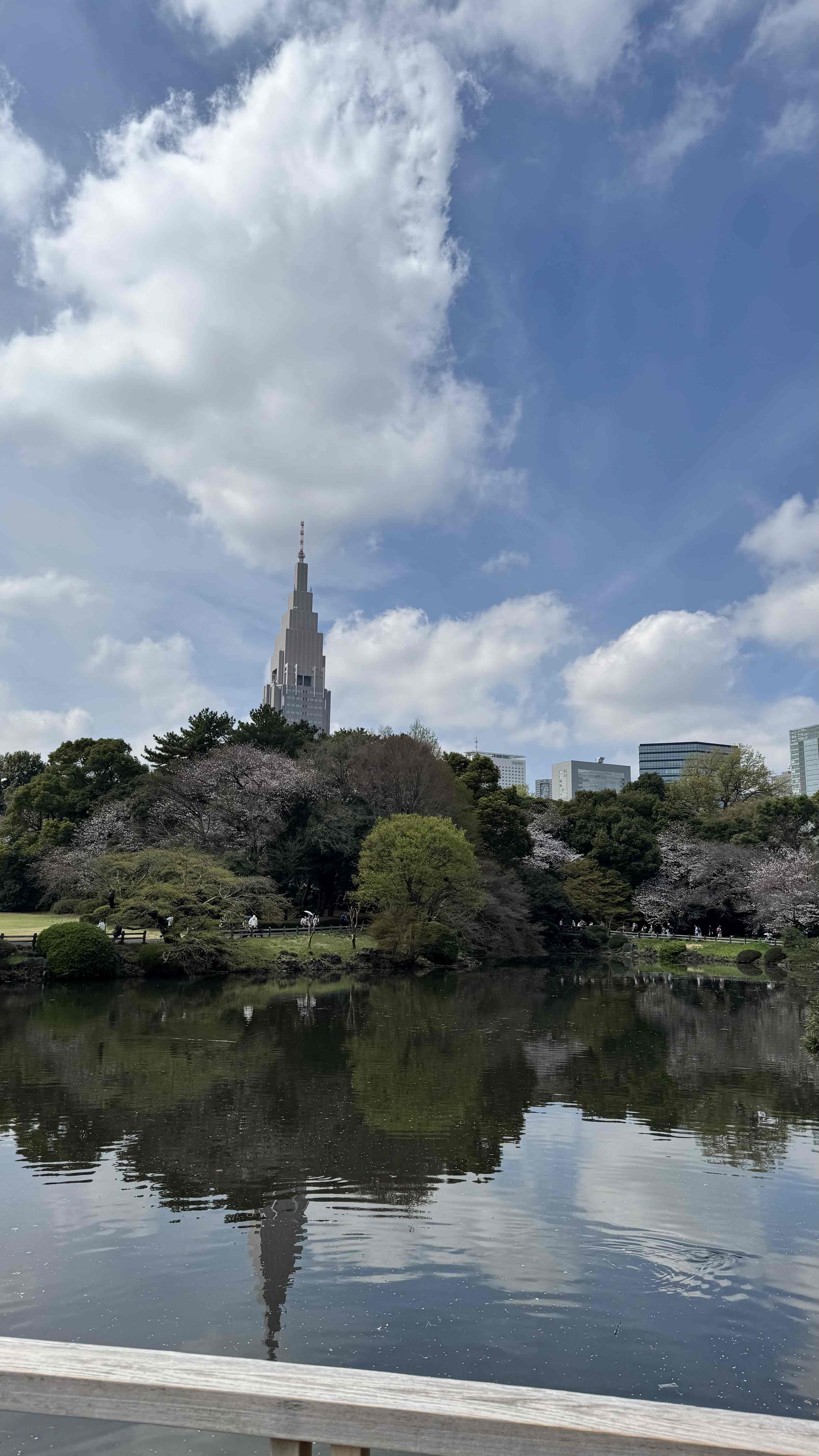 вид из парка Синдзюку Гёэн.jpg