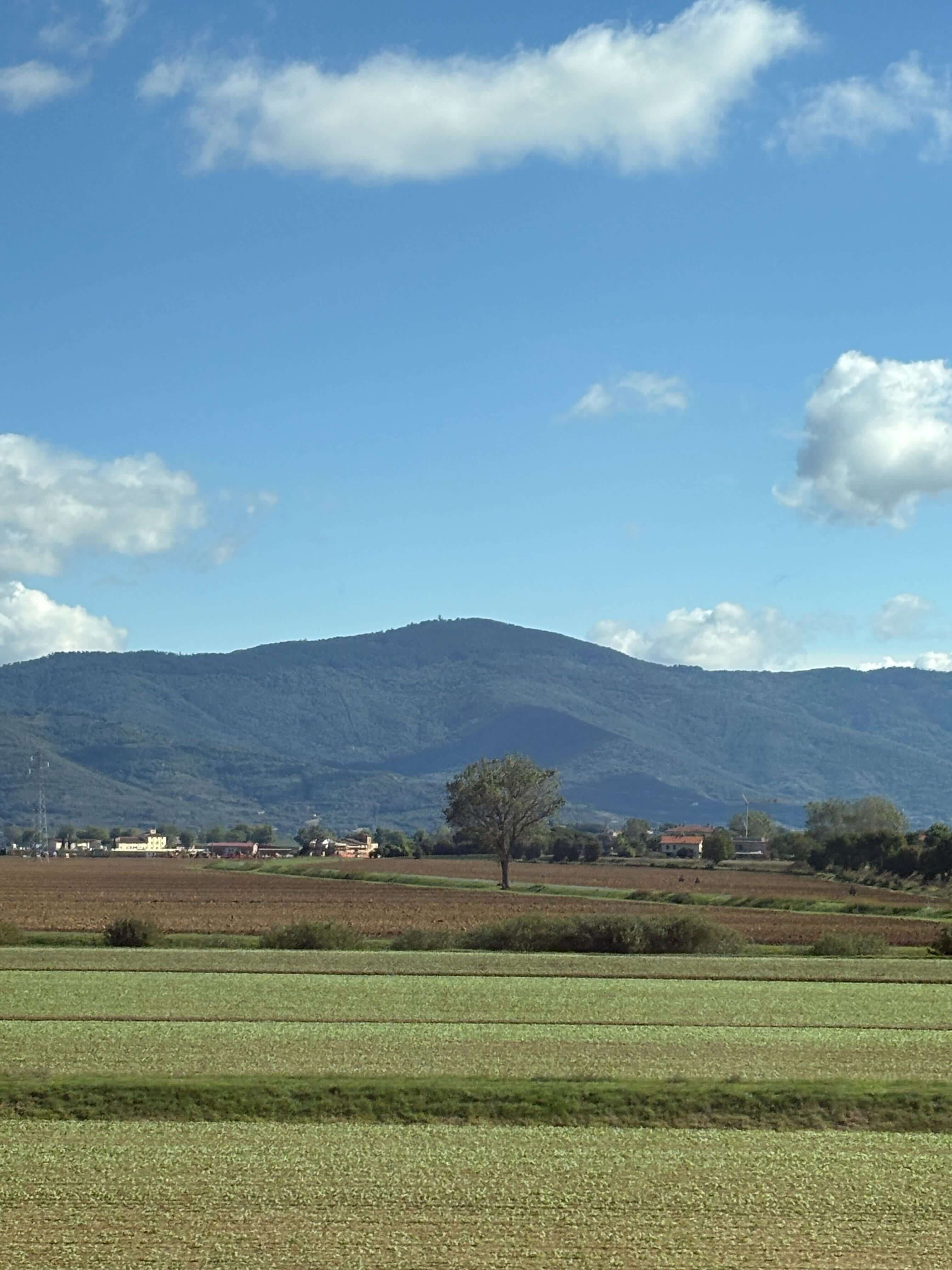 виды из поезда.jpg